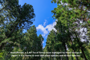 photo credit Asahi Group Holdings, Ltd